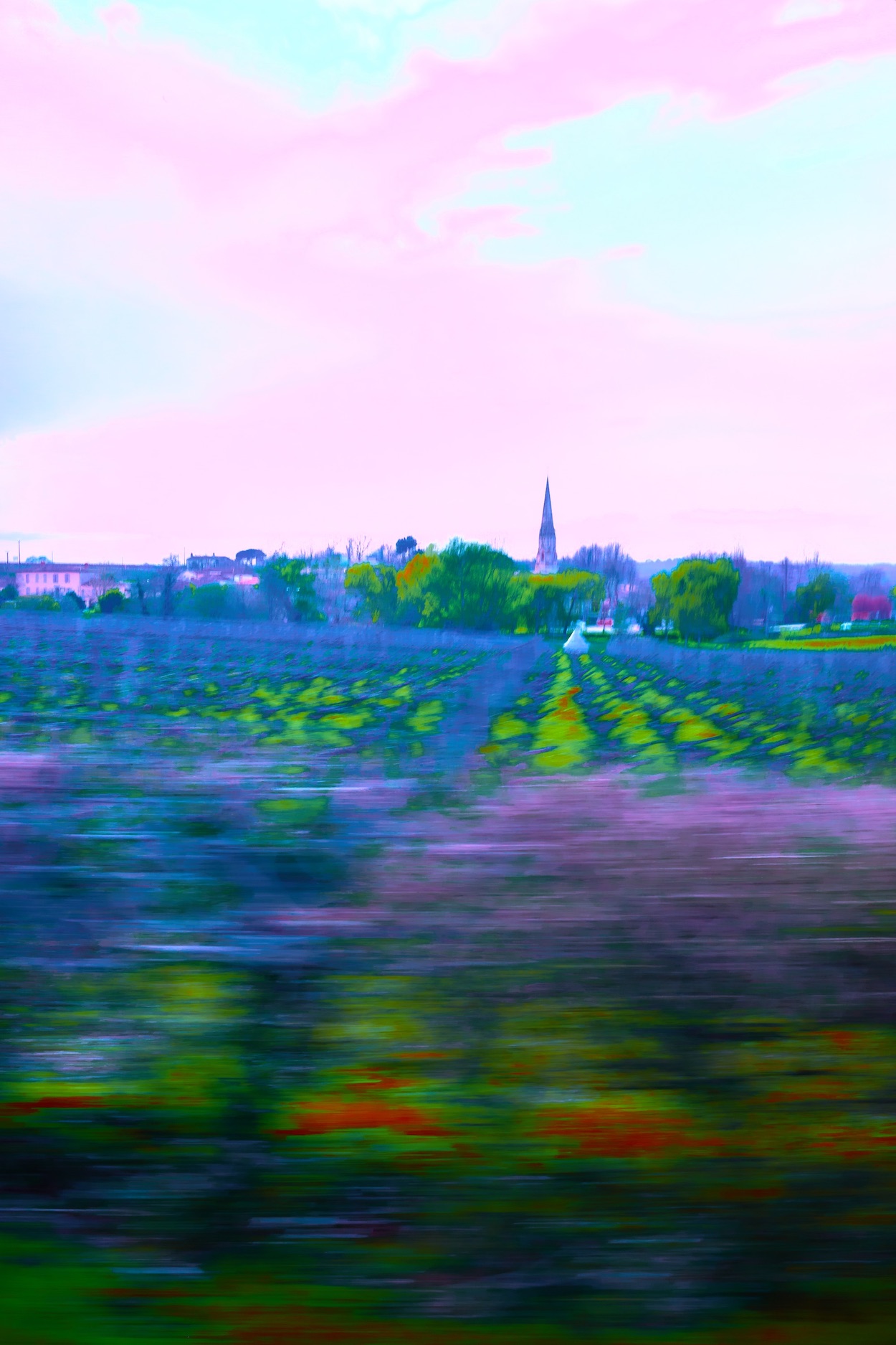 Sauternes III